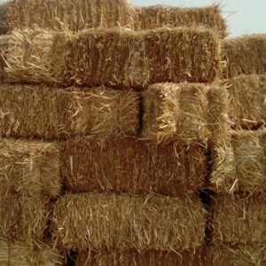Wheat Hay